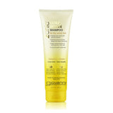 2Chic Ultra-Revive Shampoo Pineapple Ginger 8.5 Oz by Giovanni Cosmetics
