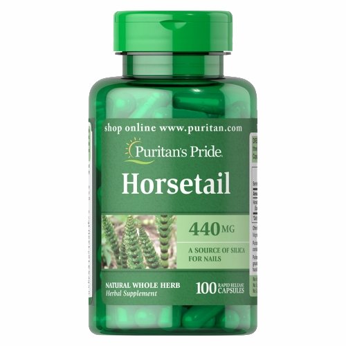 Horsetail 100 Capsules by Puritan's Pride