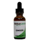 Naturverse, Ginger Fresh Liquid Extract, 1 Oz