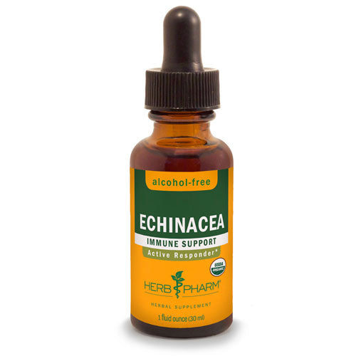 Herb Pharm, Echinacea Glycerite, 4 Oz