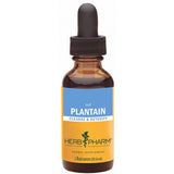 Plantain Extract 4 Oz By Herb Pharm