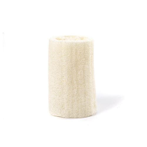 Loofah Body Scrubber Count By Earth Therapeutics