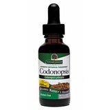 Codonopsis Root 1 Oz by Nature's Answer