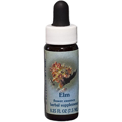 Elm Dropper 0.25 oz By Flower Essence Services