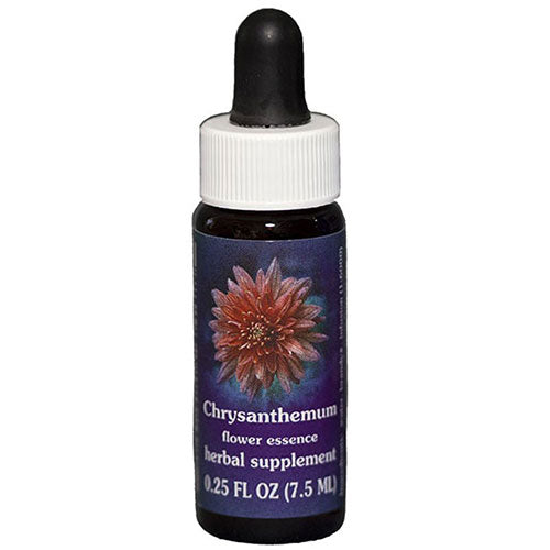 Chrysanthemum Dropper 0.25 oz By Flower Essence Services