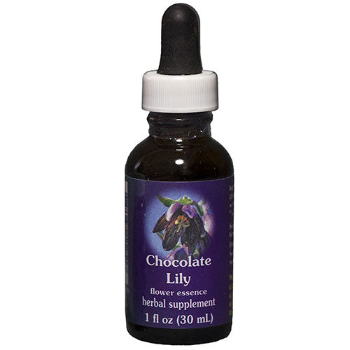 Chocolate Lily Dropper 1 oz By Flower Essence Services